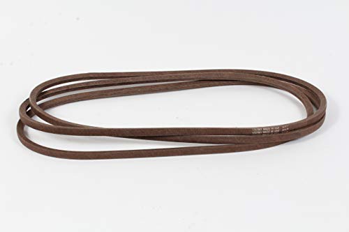 Courroie Briggs and Stratton 1757901YP pour l'entretien printanier de votre pelouse