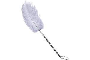 Sexy Feather Stick for Intimate Exploration