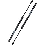 ERISTJ Window Glass Gas Lift Supports Strut Shocks 2 PCS Rear Replacement