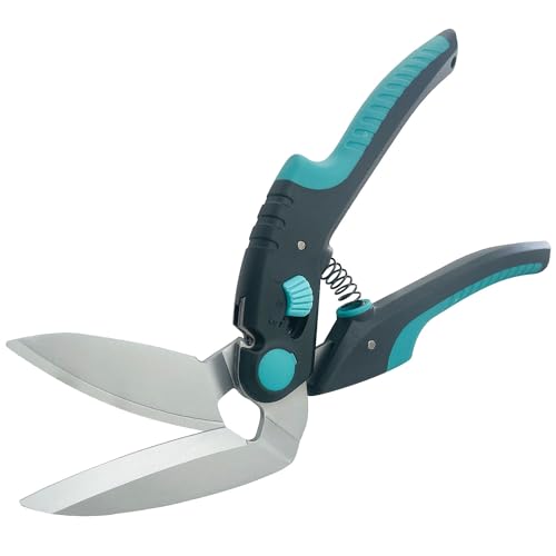 Sutekus 10C` pxt͂ XeXX`[ HƗpnT~ pxtNtg͂ ړI͂ zAvAi{[AJ[ybgAK[fjOp