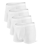 David Archy Men's 4 Pack Underwear Micro Modal Separate Pouches Fly Trunks (M, White)