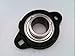 HUB CITY FB110URX1 Contact, DUCTILE Iron HOUSING, Light Duty, 1.0000 in BORE, DURALINE 1002-07175 Flange Block Ball Bearing - Two-Bolt Flange, Set Screw Locking