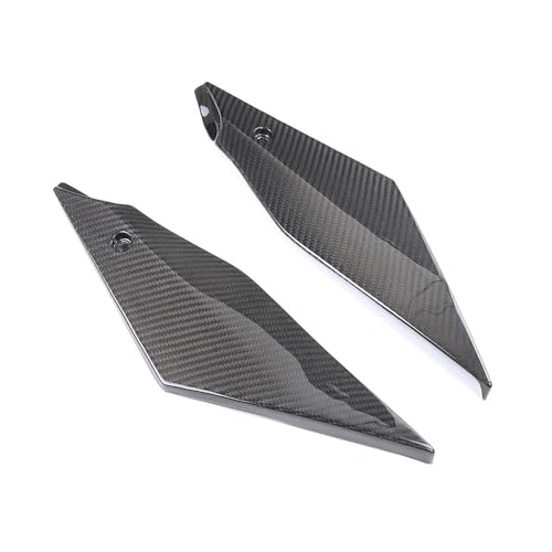 Fibre carbone véritable pour carénage latéral R1 - 5