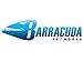BARRACUDA NETWORKS Barracuda Networks Bvsv180a-V1 Barracuda Ssl Vpn 180Vx 1Year License