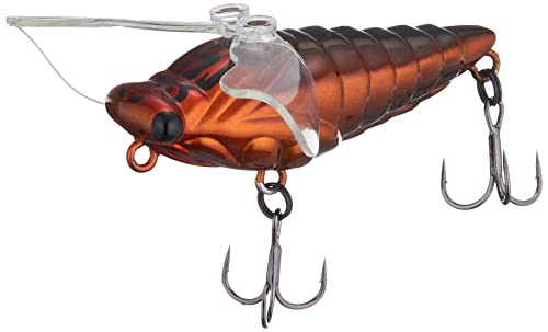 Smith LTD Obijou No. 02 Haruzemi, Female