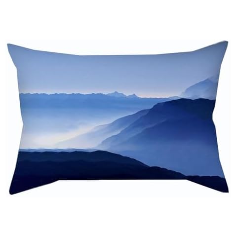 Housse de coussin SWJ 30x50 cm Cover