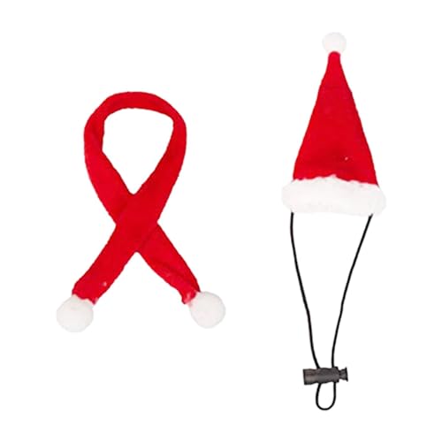 DeeRace ঒��ރT���^�X�q�ƃX�J�[�t�Z�b�g�������p���߉\�ȃN���X�}�X���A�t�g�A�S�q�Q�g�J�Q�p঒��ރn���E�B���R�X�`���[��, 2��