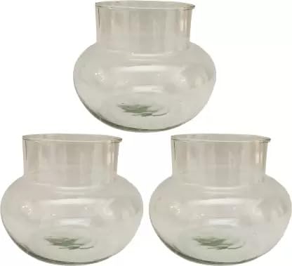 Urban Moon Mini Glass Flower Vase, Candy Jar, Money Plant, Bamboo Plant Pot for Indoor Gardening, Home, Office & Table Decoration - Pack of 3 Piece, 4 Inches (B0CDVFKHCJ) Amazon Price History, Amazon Price Tracker