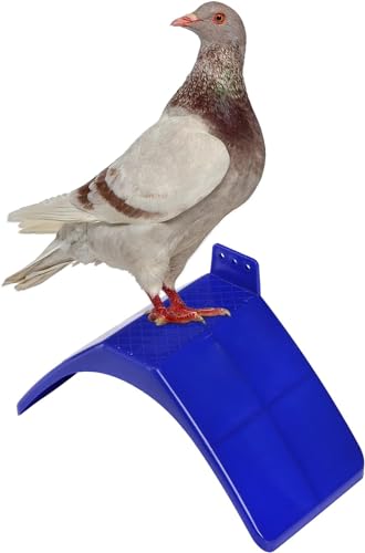 Image of Coloch 20 Pcs Dove Rest Stand, Lightweight Pigeon Perches Plastic Birds Roost Holder, Pigeons Dwelling Frame Birdcage Accessories for Parrots and Other Birds (Pack of 2)