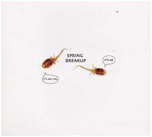 It's Not You, It's Me [Audio CD] Spring Break Up