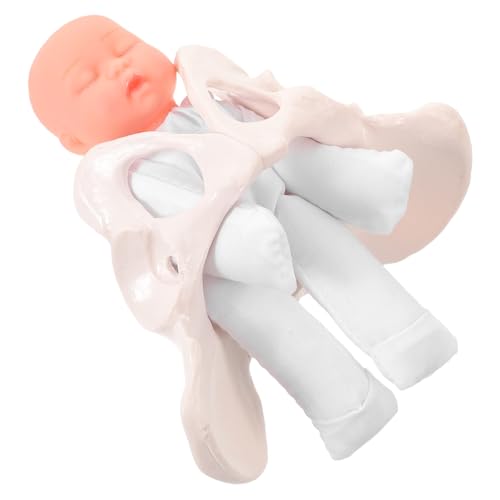 Modèle de bassin miniature pour expliquer l'accouchement simplement lors de la formation médicale