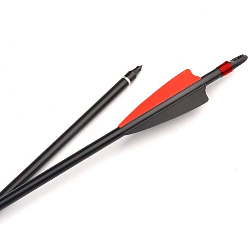 ANTSIR 30 Inches Spine 500 Fiberglass Arrow Diameter 8mm with Explosion-Proof for Recurve/Compound Bow Archery Hunting Shooting
