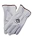 Toledano Industries 12 Pair Large Premium Cut Leather Work Gloves