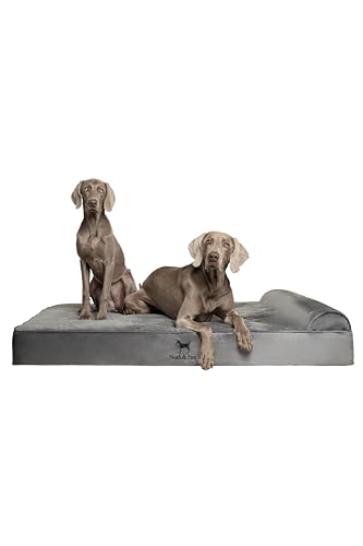 NOAH & PAW Giant Dog Bed XXL 55x45x11 Inch, Orthopedic Dog Beds, Eggshell Memory Foam Infused with Cooling Gel, Waterproof, Machine Washable, Includes Inner Cover (Velvet Collection)