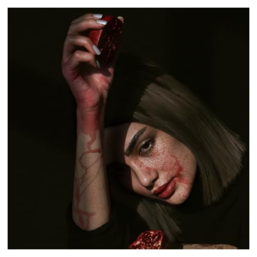 『The Widow’s Poison: Stacey Castor’s Deadly Marriage Games』のカバーアート
