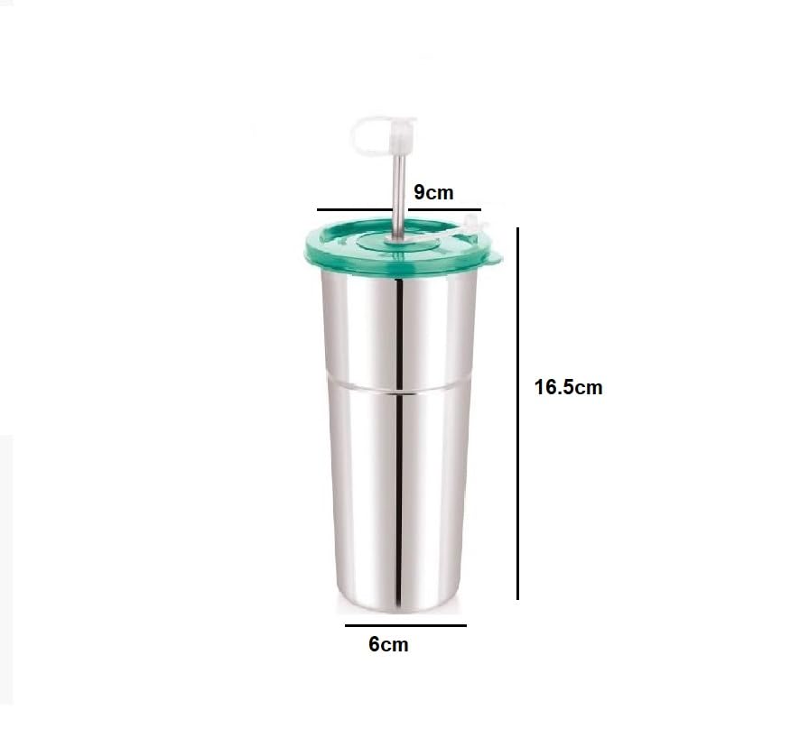 Image of Stainless Steel Fusion Glass Tumbler with Stainless Steel Metal Straws and Cleaning Brush with Lid (LD SIP (2) 600ML)