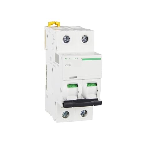 Disjoncteur miniature IC65 IC65H 2P C2A A9F28202 modulaire bipolaire