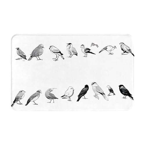 Black and White Birds Print Living Room Bathroom Kitchen Anti Slip and Absorbent Carpet, Indoor Entrance Door Muddy Floor Mat, Ultra Soft Washable Carpet 21x31.5 Inches