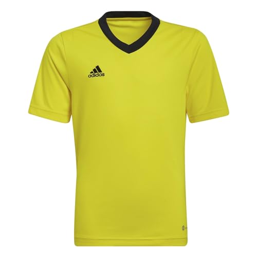Maillot adidas Entrada 22 enfant pour l'entraînement de foot