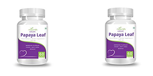 Image of Nature's Velvet Papaya Leaf Extract 500 mg - 60 Veg Capsules
