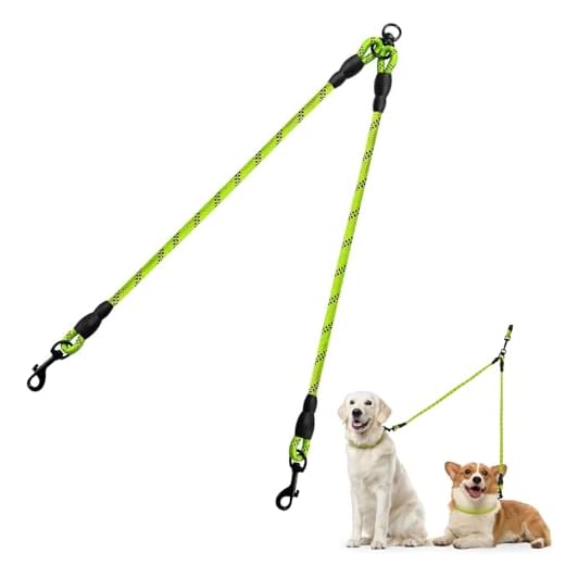 Taglory Correas Dobles/Correa de Perro para Dos Perros/Acoplador Divisor Fuerte para Perros pequeño medianos Grandes/Giratorio 360 ° sin enredos/Cuerda de escalada/75cm Verde