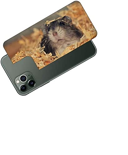 ClearView Apple iPhone 11 Pro MaxΉ wʕیtB vg (킢nX^[)