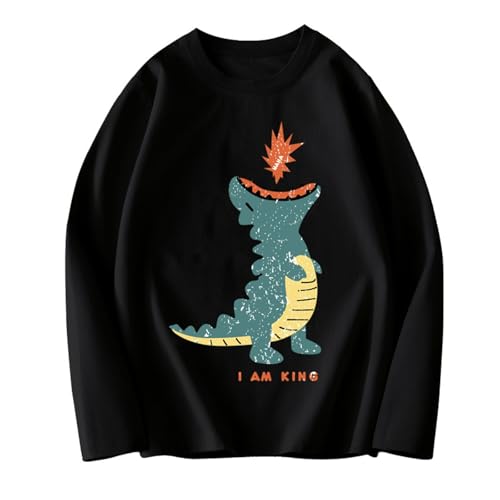 Xiaojmake Toddler Boys Birthday Shirt Dinosaur Print Long Sleeve Top Graphic Cotton Tee Crewneck Sweatshirt Fall Outfit 2-12T