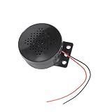 Jnchdghwa Suggeritore Vocale Personalizzabile Controllo Accessi Attivato Tramite Voce Sicurezza Bloccaggio Auto