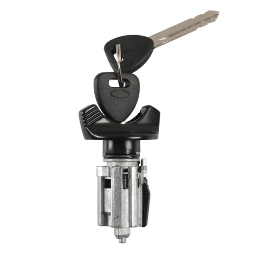 Neiman Ford cassé : Solution de rechange avec le cylindre de serrure d'allumage clé