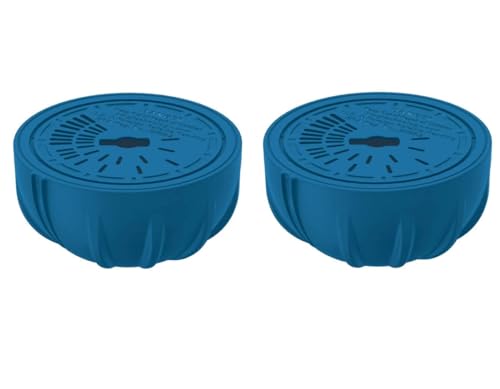 FROG Replacement Chlorine Cartridges for use with Flippinâ€™ FROG Floating Sanitizer System - Prefilled Cartridges Support Easy Pool Maintenance and Cleaner & Clearer Water - 2 Pack
