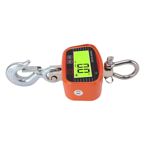 Balance pour grue 2000 kg industrielle avec écran LCD et télécommande