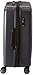 DELSEY PARIS Titanium Hardside Expandable Luggage with Spinner Wheels Checked Luggage, Graphite, Checked-Medium 25 Inch