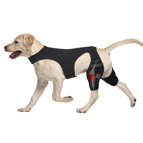 Dog Knee Brace for Back Leg, Dog Leg Brace Fit Large to Small Dog...