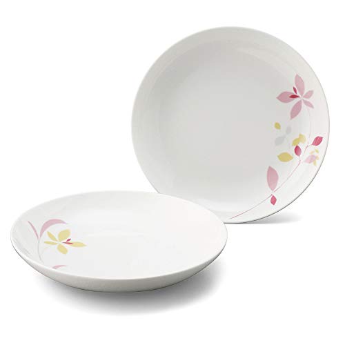 NARUMI プレート 皿 セット スタイルズ レッド 22cm 2枚セット カレー&パスタ 電子レンジ温め 食器洗浄機対応 97