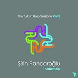 The Cry of the Flamingos