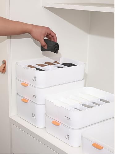 下着収納ボックス 仕切り付き 蓋付き プラスチック 靴下収納ボックス 下着収納ケース 収納便利 小分け収納ケース ネクタイ、パンツ、下着、靴下、ハンカチなど小物収納 防虫 防塵 防湿 (ホワイト, 10仕切り)