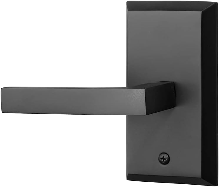 Rockwell Security Premium Aqua Half Dummy with Delta Lever Left Hand in Antique Black Finish