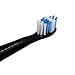 6-Pack Replacement Toothbrush Heads for Dnsly Fairywill FW507/FW508/FW917/FW909/FW949/FW958/FW507B/FW908/FW610/FW659/FW719/FW910 KIPOZI Sboly Sonic Electric Toothbrush (Black)
