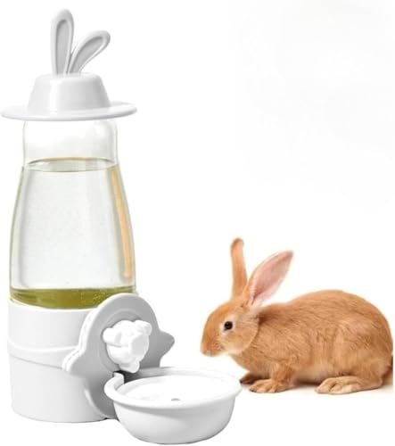 Ambety ݂艺  ݊ P[Wp ݂̂݊ e 600ml Rh~ e ݊ u^ ԑΉ G܂ ETM  lWŒ  d͐݌v ␅ dCsv ݂艺 ݂̂݊ `` b