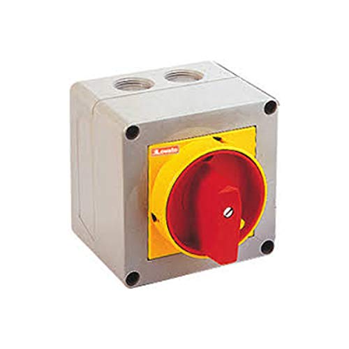 Interrupteur à deux pôles GX91 modèle P25 pour boîtier de 90x90 mm