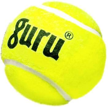 GURU CRICKET BALL