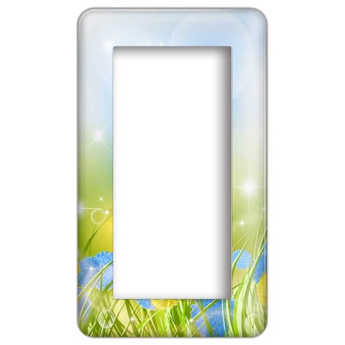 CASEMAKER �p�i�\�j�b�N �y�R�X���V���[�Y���C�h21�z�y1�A�X�C�b�`�v���[�g WTC7101W�z �R���Z���g�v���[�g �X�C�b�`�v���[�g �ԕ� �t�����[(�N���V�b�N��) 13��