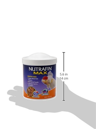 Nutrafin Max Goldfish Flakes, 215g (7.58-Ounce), Mixed Color - Image 5