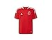 Produktbild adidas Jungen Ajax Tr JSY Y T-Shirt, Tmcord, 11 Años