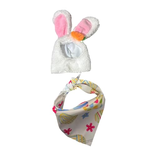 KQFCAZRE |[`O[Xߑ2_Zbg XqƂ悾ꂩ C[X^[ \[hX^`[RX`[ O[X peBIp[eB[ t@[nEXp, ƃsN