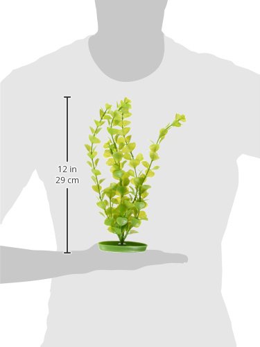 Marina Aquascaper Fish Tank Decorations, Moneywort Plant, 12-Inch, Green, 12 inches Height - Image 3