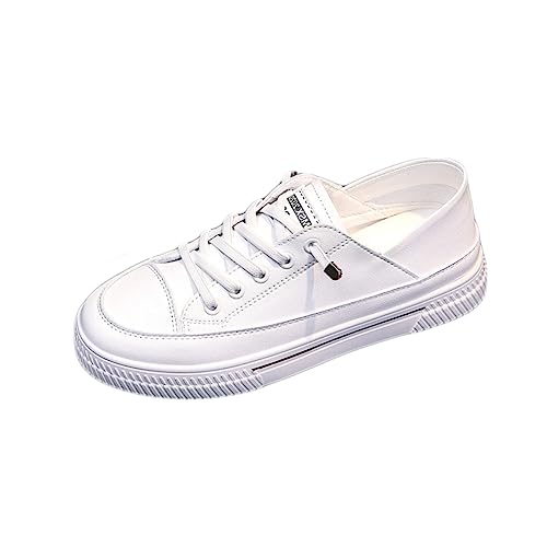 [LECMT] fB[X  Xj[J[   2way JWA wlC fB[XV[Y Xb| 22.5cm  V[Y [Jbg Xj[J[ JWA h  tbgV[Y ؂ Ɠ߂ zCg