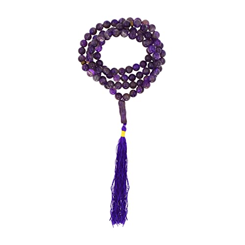 [SUNCN] ^Xr[tFr[Y ~XonY CXk̋F jp CX ^XtlbNX (AWXg)