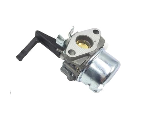 Carburateur pour Briggs & Stratton 696065 et 697422 pour motoculteur et motoculture