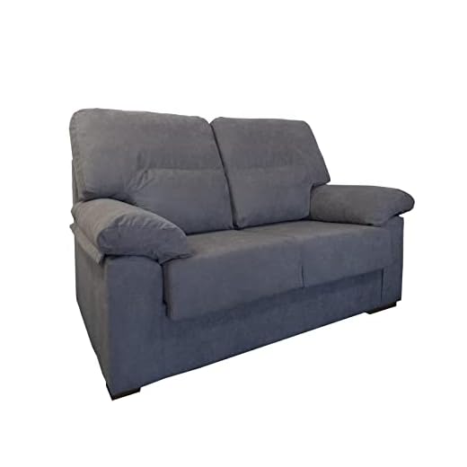 MUEBLIX.COM | Sofa Marcos | Sofa 2 Plazas | Sofas de Salón Modernos | Sofa Confortable | Asientos de Goma Espuma | Sofa de Diseño | Color Gris